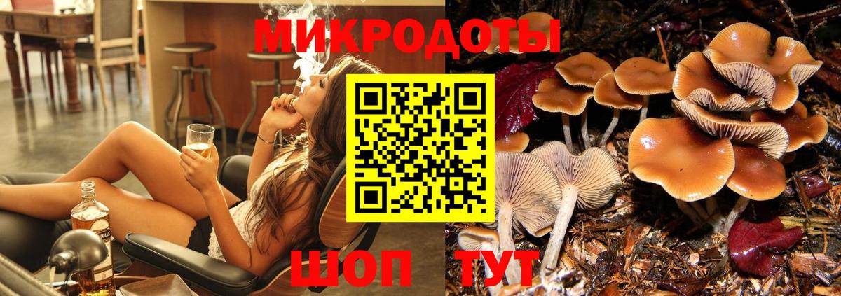 Галлюциногенные грибы Psilocybe Моздок