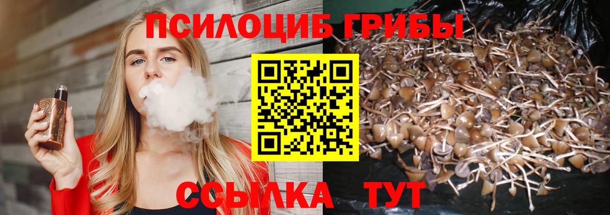 Псилоцибиновые грибы прущие грибы  Галлюциногенные грибы ЛСД  наркотики  Вход с VPN  Моздок 